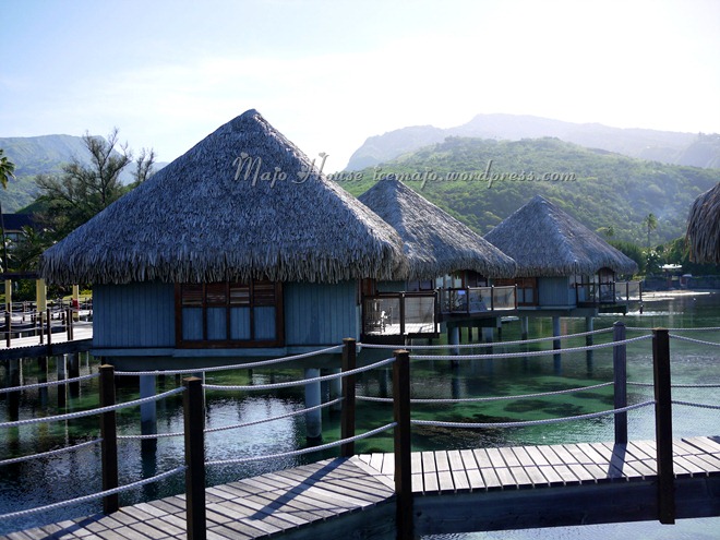 tahiti002