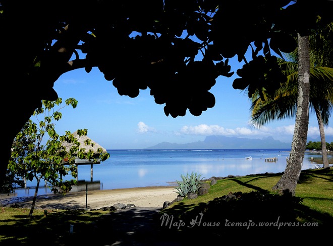 tahiti003