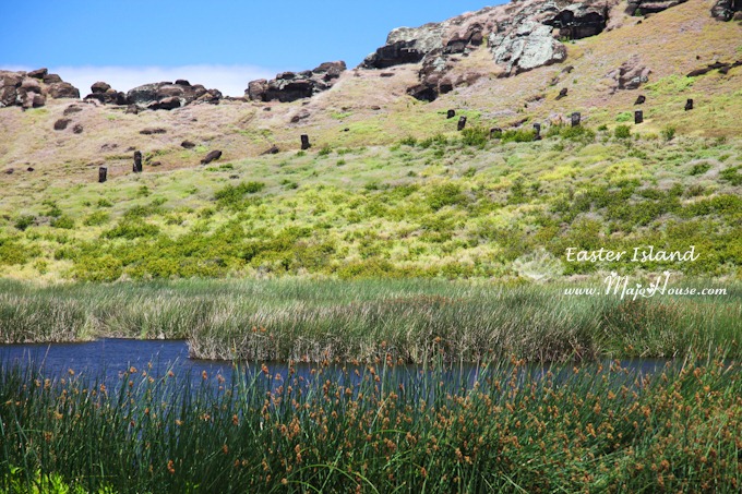 easterisland136