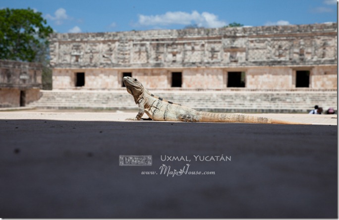 uxmal09