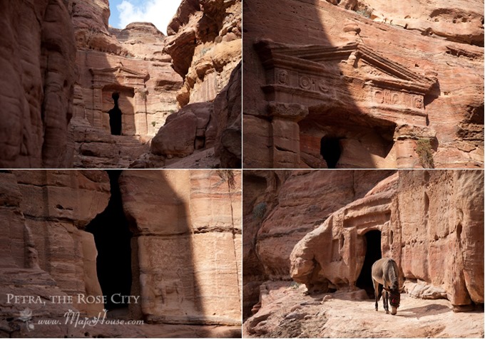 petra022