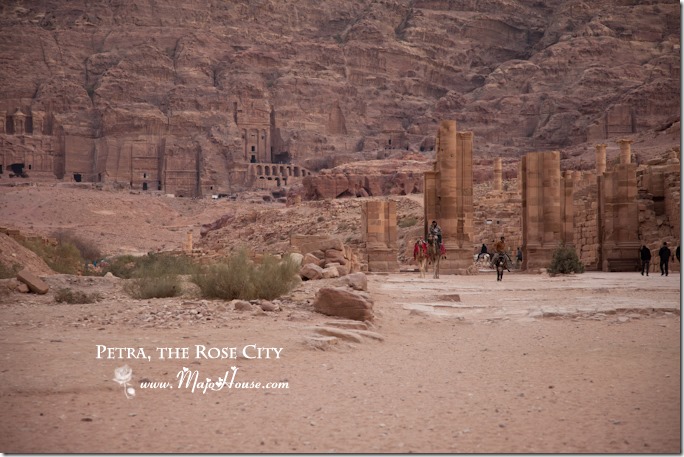 petra051