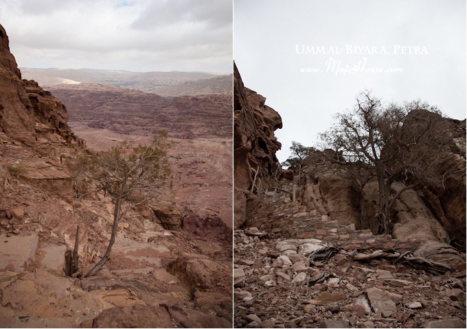petra_al-biyara13