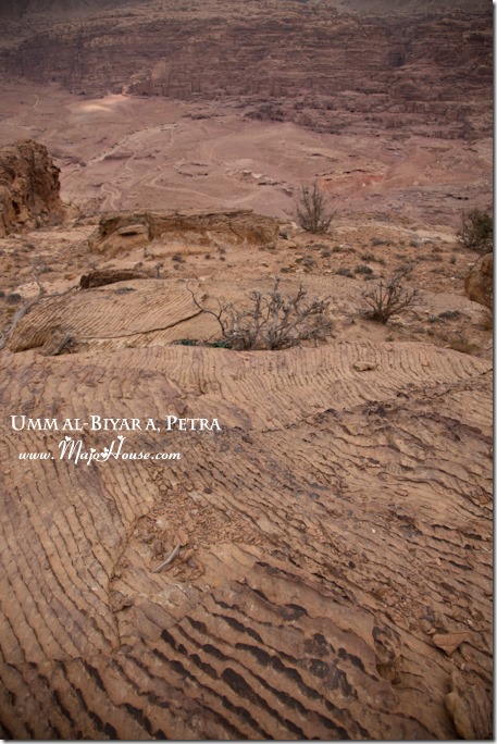 petra_al-biyara24