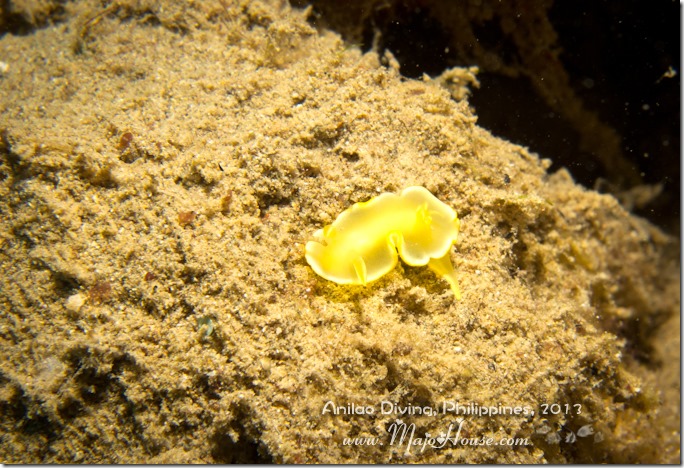 MajoHouse_BlogPhoto MajoHouse_BlogPhoto