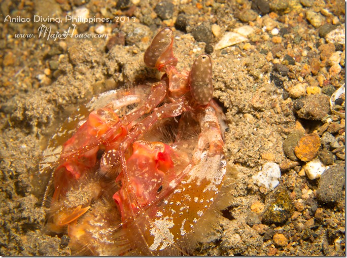 MajoHouse_BlogPhoto MajoHouse_BlogPhoto