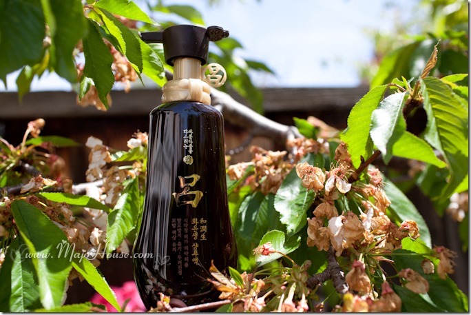 MajoHouse_BlogPhoto MajoHouse_BlogPhoto