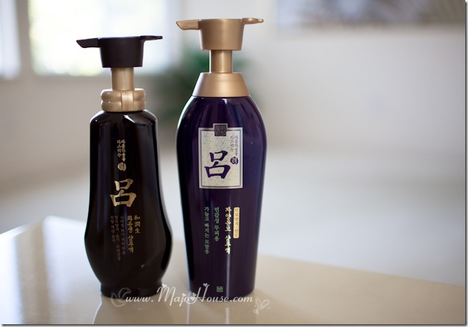 MajoHouse_BlogPhoto MajoHouse_BlogPhoto