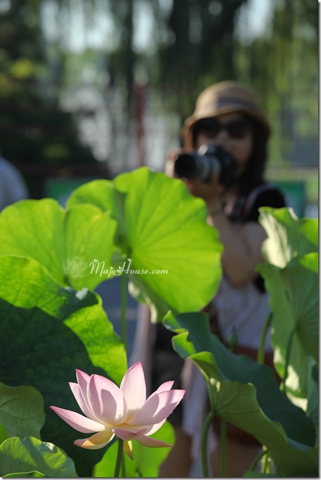 MajoHouse_BlogPhoto MajoHouse_BlogPhoto