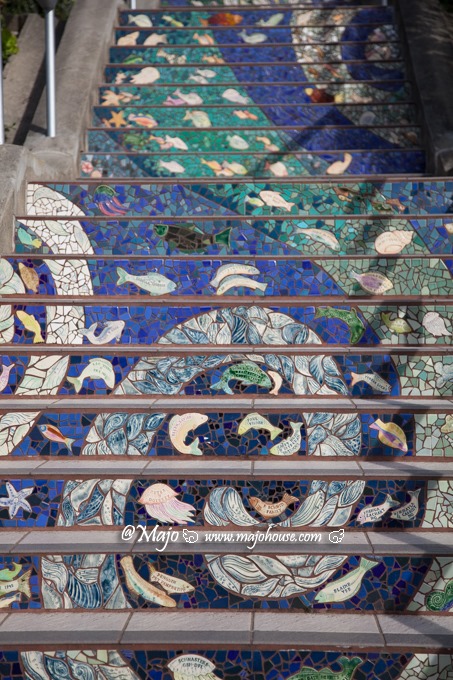 MajoHouse_BlogPhoto MajoHouse_BlogPhoto