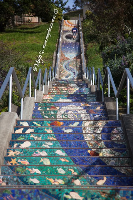 MajoHouse_BlogPhoto MajoHouse_BlogPhoto