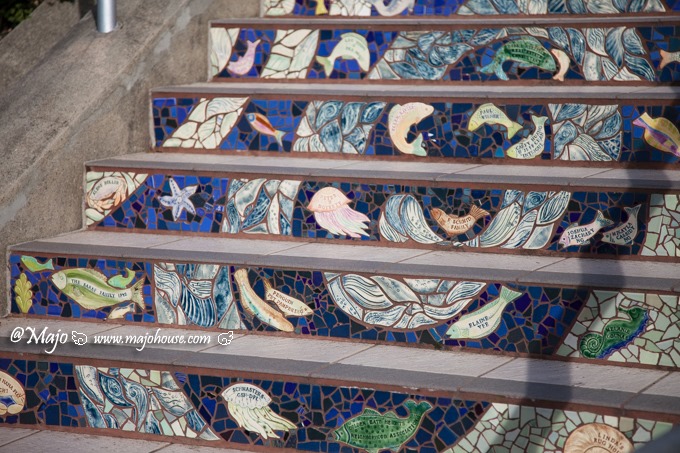 MajoHouse_BlogPhoto MajoHouse_BlogPhoto