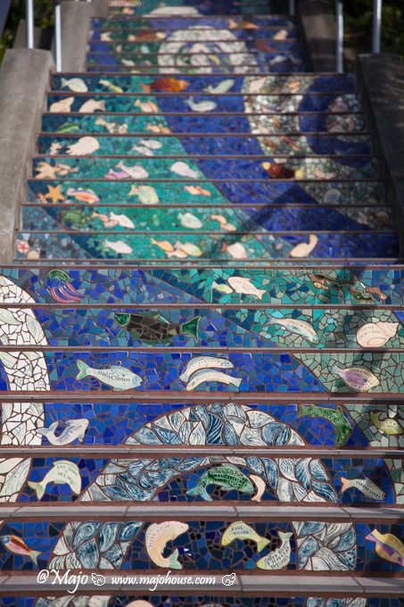 MajoHouse_BlogPhoto MajoHouse_BlogPhoto