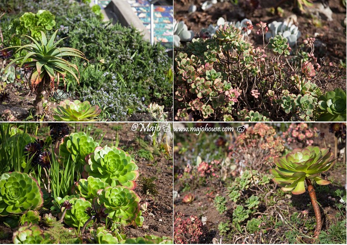 SF_16thave_tiledsteps_06 SF_16thave_tiledsteps_06