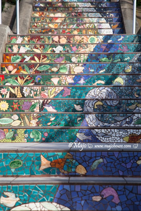 MajoHouse_BlogPhoto MajoHouse_BlogPhoto