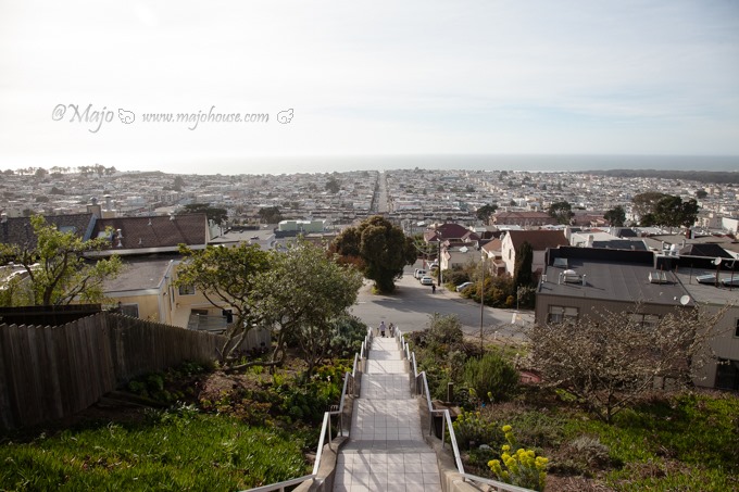 MajoHouse_BlogPhoto MajoHouse_BlogPhoto