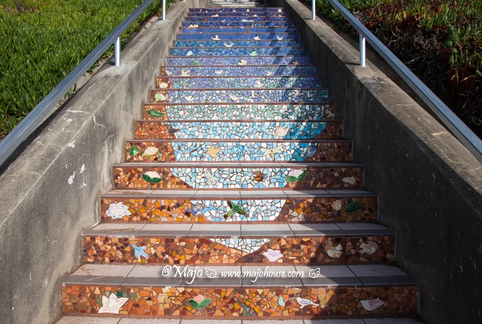 MajoHouse_BlogPhoto MajoHouse_BlogPhoto