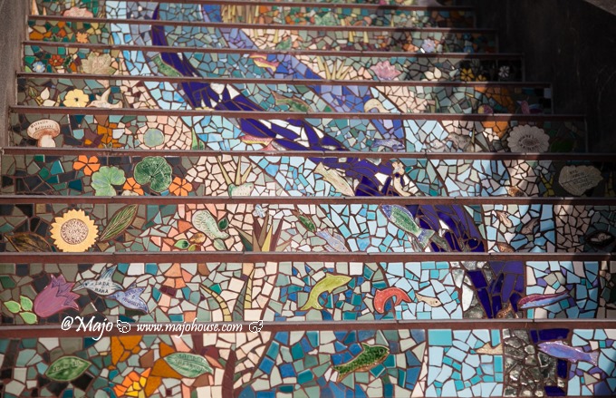 MajoHouse_BlogPhoto MajoHouse_BlogPhoto