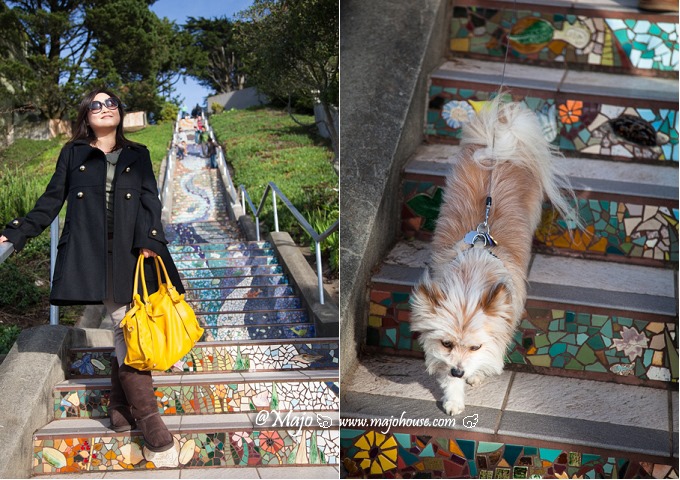 SF_16thave_tiledsteps_25 SF_16thave_tiledsteps_25