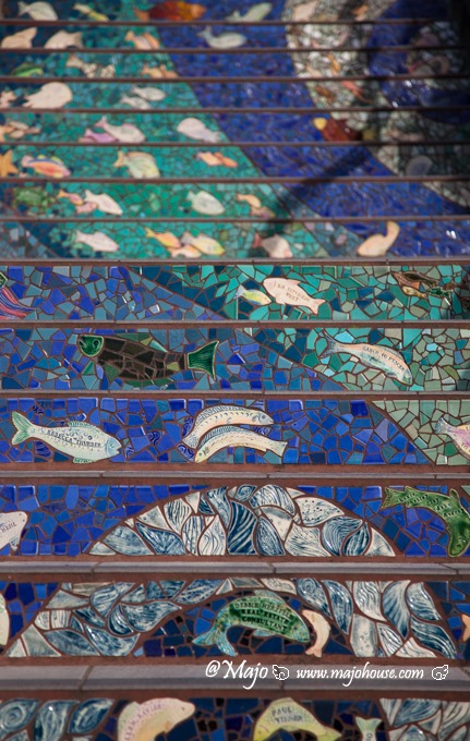 MajoHouse_BlogPhoto MajoHouse_BlogPhoto