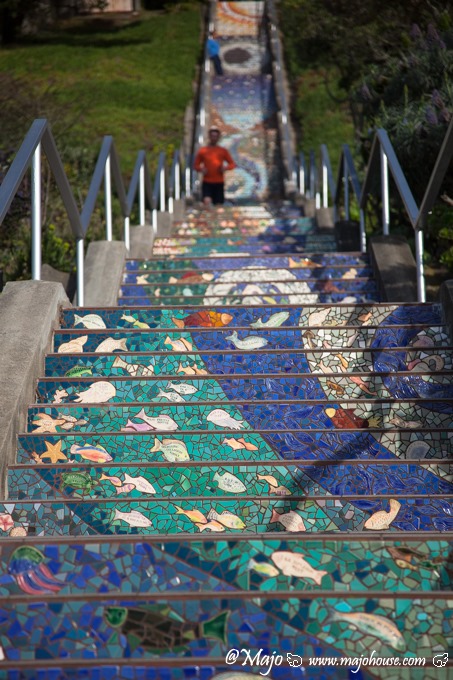 MajoHouse_BlogPhoto MajoHouse_BlogPhoto