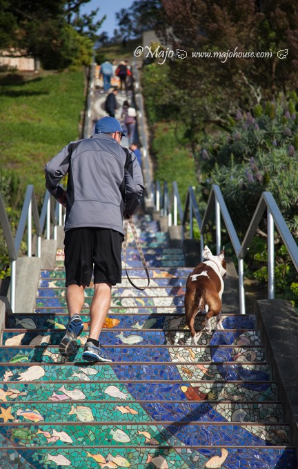 MajoHouse_BlogPhoto MajoHouse_BlogPhoto