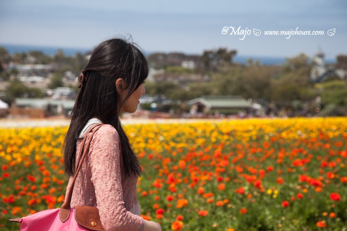 MajoHouse_BlogPhoto