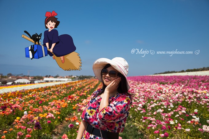 CarlsbadFlowerField_036