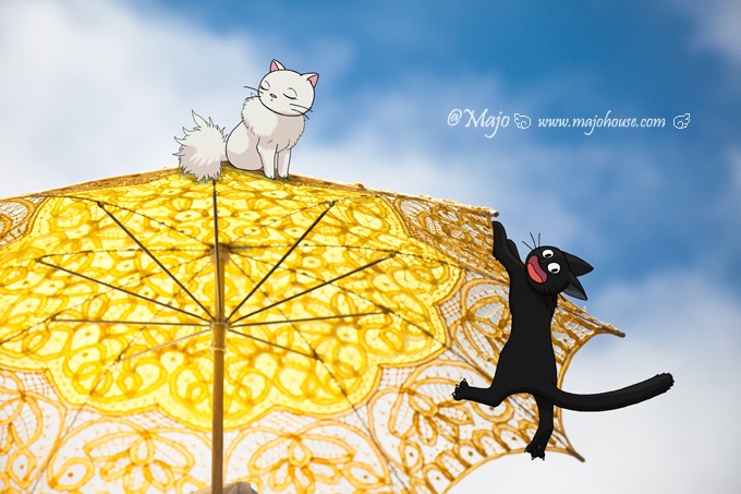 CarlsbadFlowerField_084