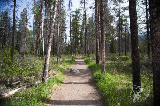 Majo Photograph Majo Photograph