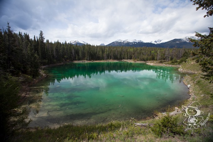 Majo Photograph Majo Photograph