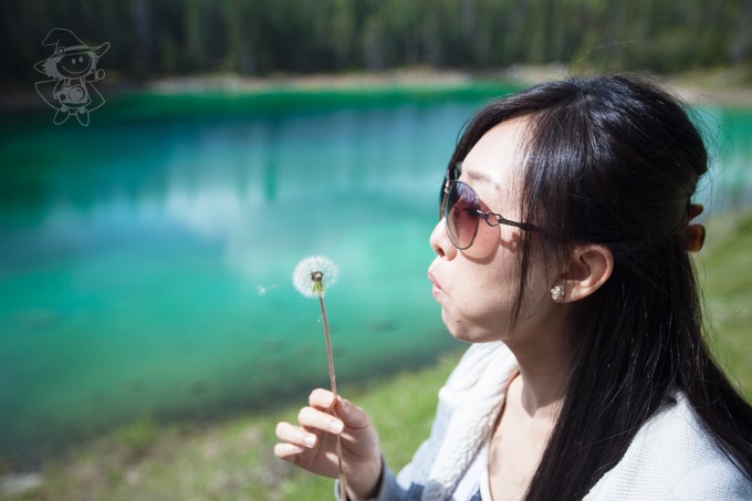 Majo Photograph Majo Photograph