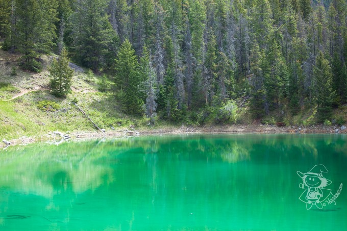 Majo Photograph Majo Photograph