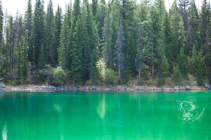 Majo Photograph Majo Photograph