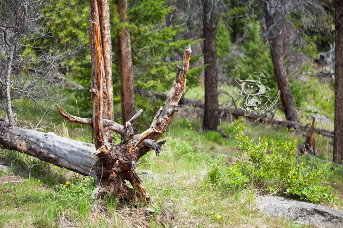 Majo Photograph Majo Photograph