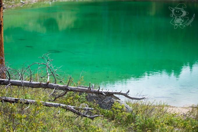 Majo Photograph Majo Photograph