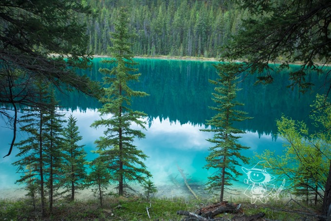 Majo Photograph Majo Photograph