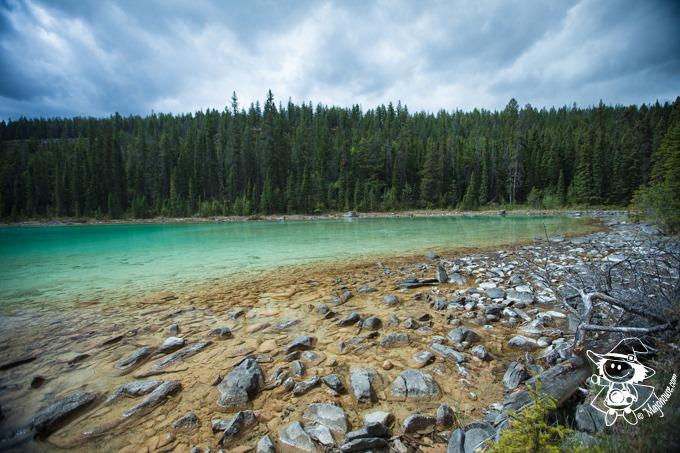 Majo Photograph Majo Photograph