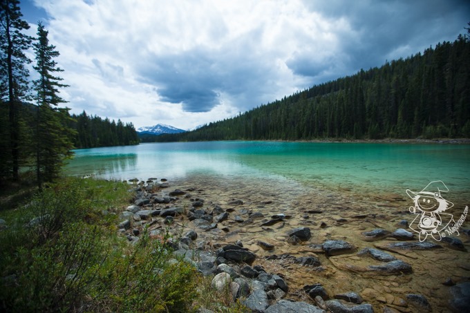 Majo Photograph Majo Photograph