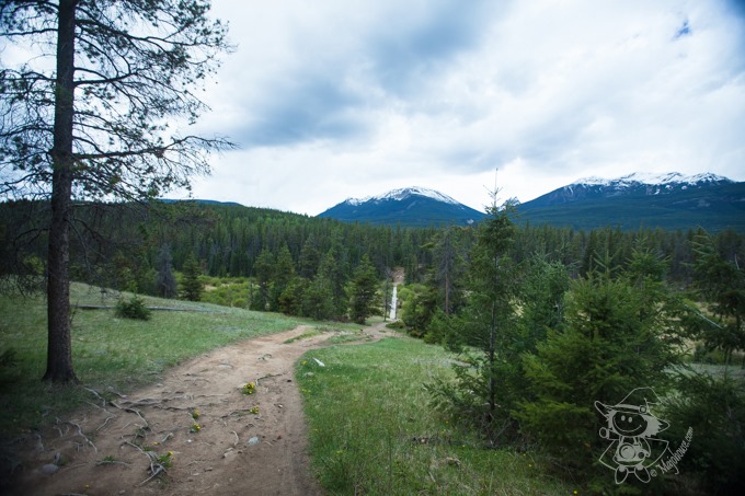 Majo Photograph Majo Photograph