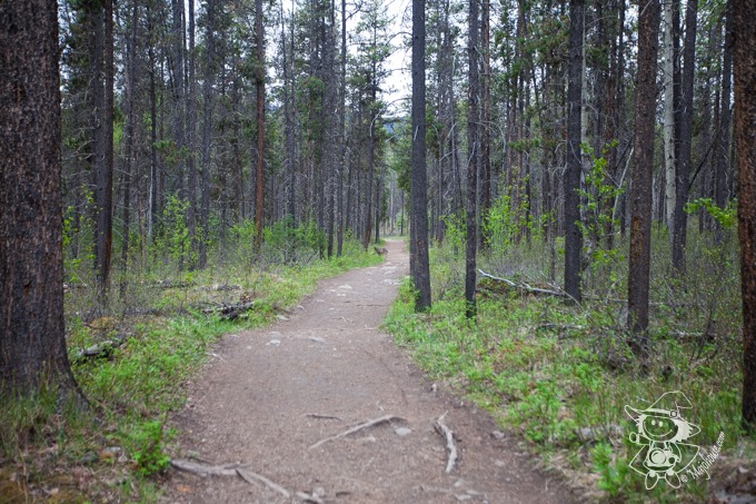 Majo Photograph Majo Photograph