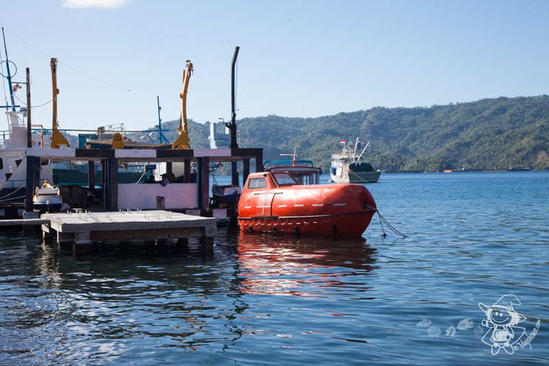 Majo Photograph Majo Photograph