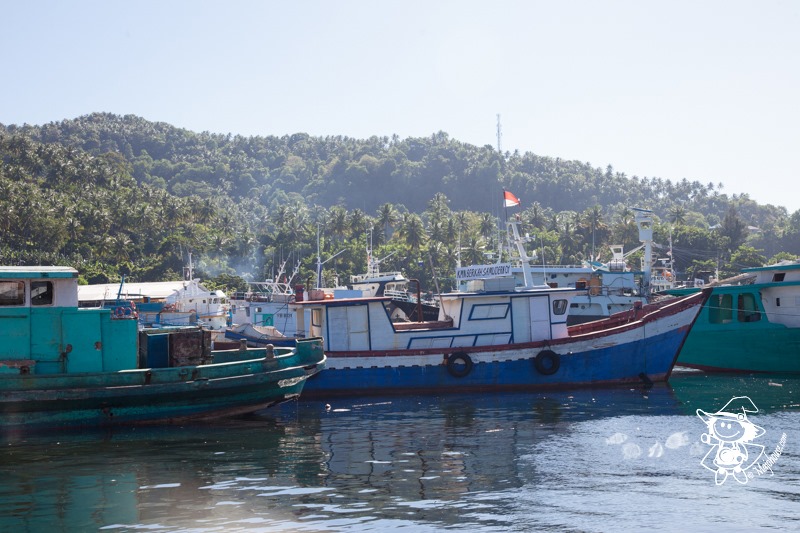 Majo Photograph Majo Photograph