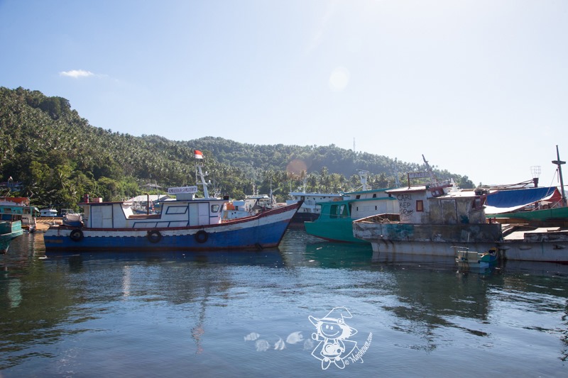 Majo Photograph Majo Photograph