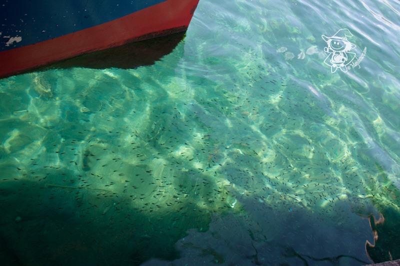 Majo Photograph Majo Photograph