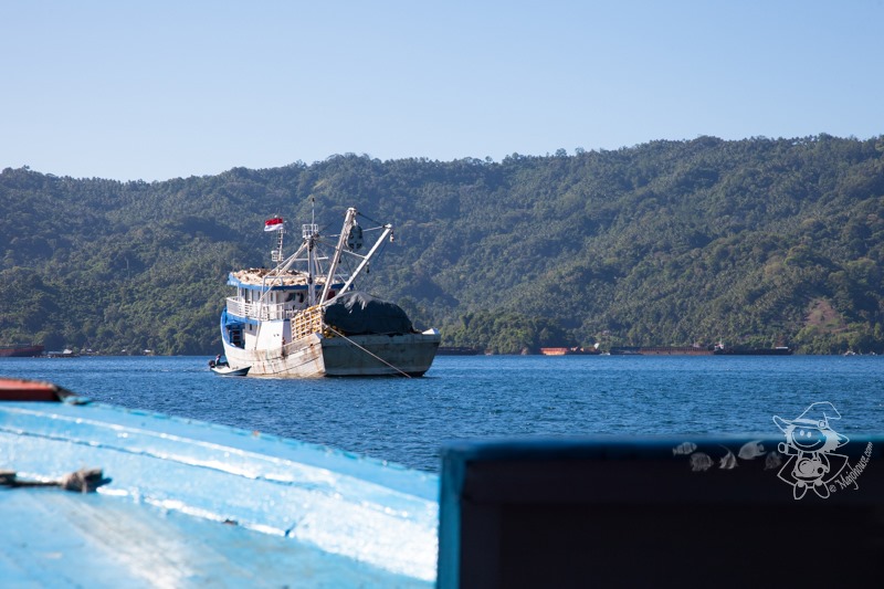 Majo Photograph Majo Photograph