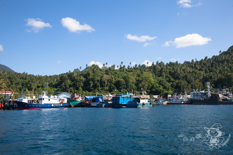 Majo Photograph Majo Photograph