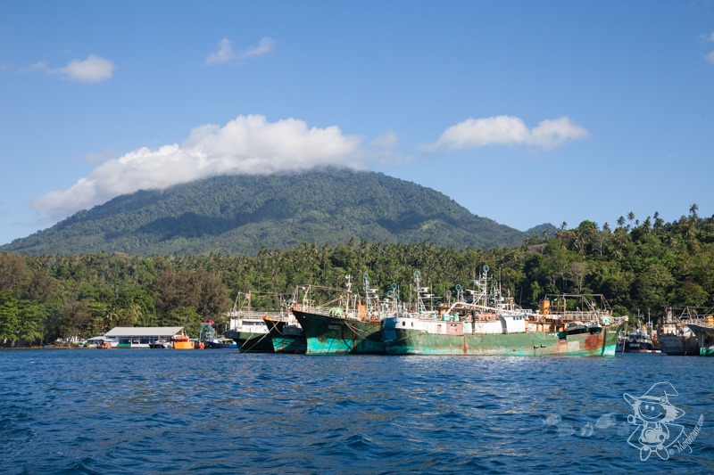 Majo Photograph Majo Photograph