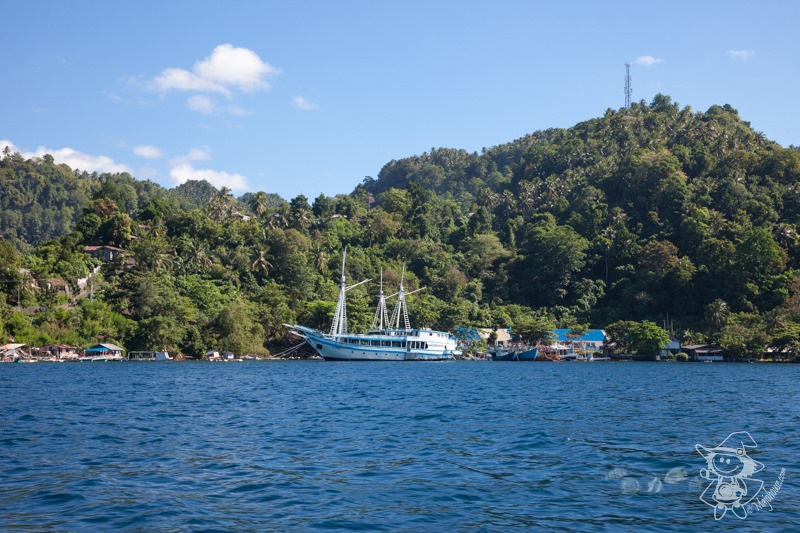 Majo Photograph Majo Photograph