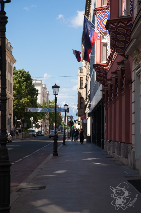 Majo Photograph Majo Photograph